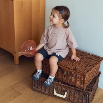 --NATURE FRIENDS ZEBRA