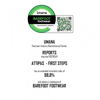 DM WOODLAND BLUE SQUIRREL