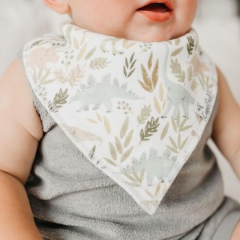 REX Bandana Bib Set 4 - Baberos