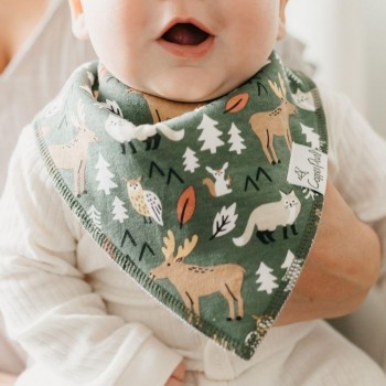 ATWOOD Bandana Bib Set 4 - Baberos