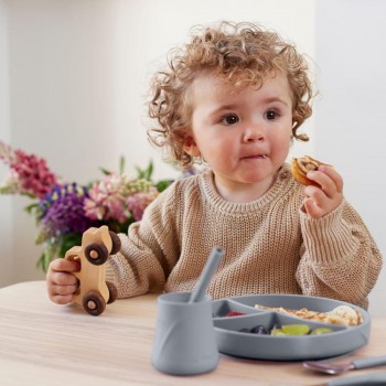 Plato silicona con ventosa GRIS