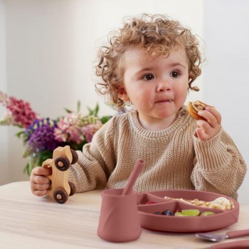 Plato silicona con ventosa NATURE RED