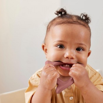 Mordedor silicona NATURE RED