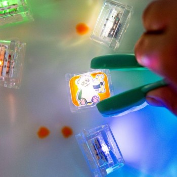 -SET 6 CUBOS GLOPALS ZOO