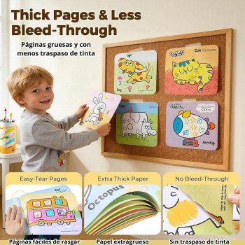 Set de 2 libros Actividades Play & Learn ANIMALS & VEHICLES